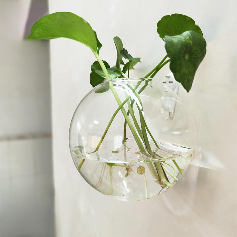 Vystavte své rostliny na stěnách, aniž byste museli vrtat 