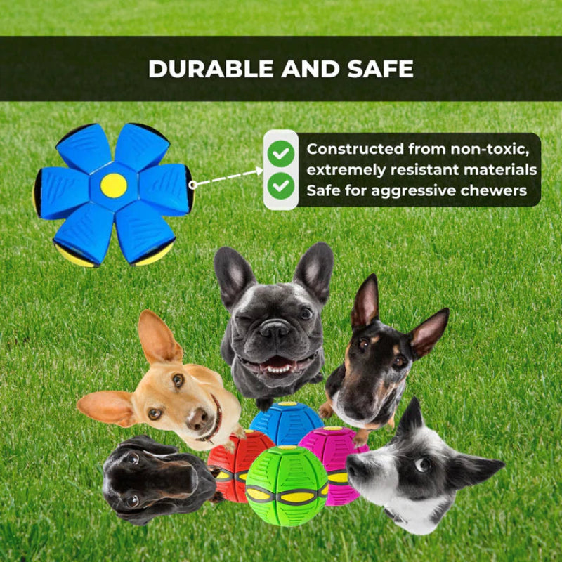 Den hoppende legetøj, der vækker alle hunde 